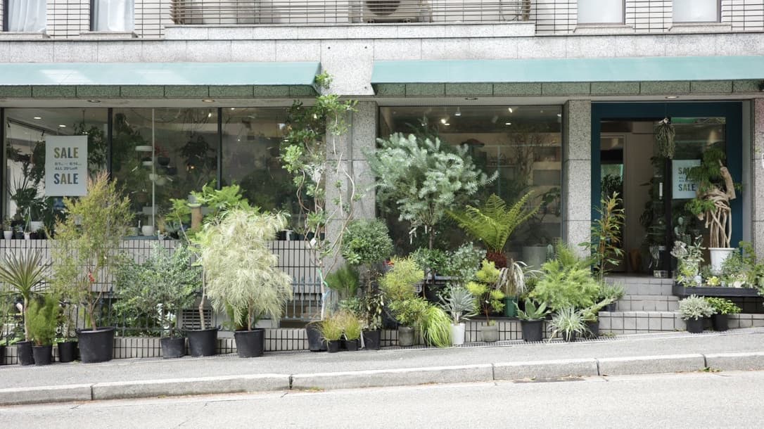 植物のある暮らし